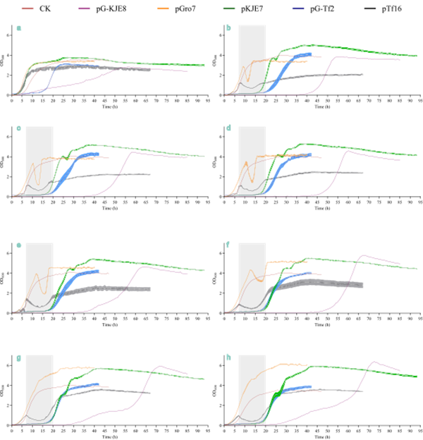 upfile 图片2_副本.png
