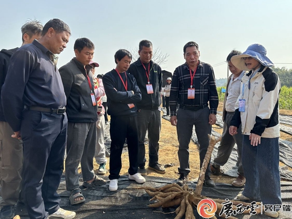 upfile e1451e6d7b38bd2e24afa5217f01bdc9_wm096a_副本.jpg