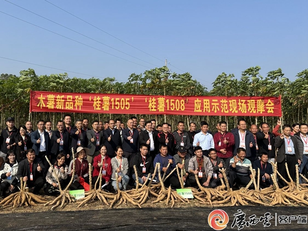 upfile d0208946584fd74a1e2920d15ec02aa2_wme9ac_副本.jpg