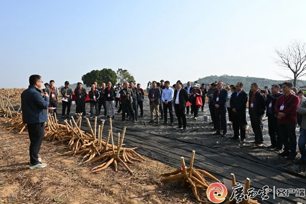 upfile 46dcd8f7104227f83088d82543fa2828_wmab82_副本.jpg