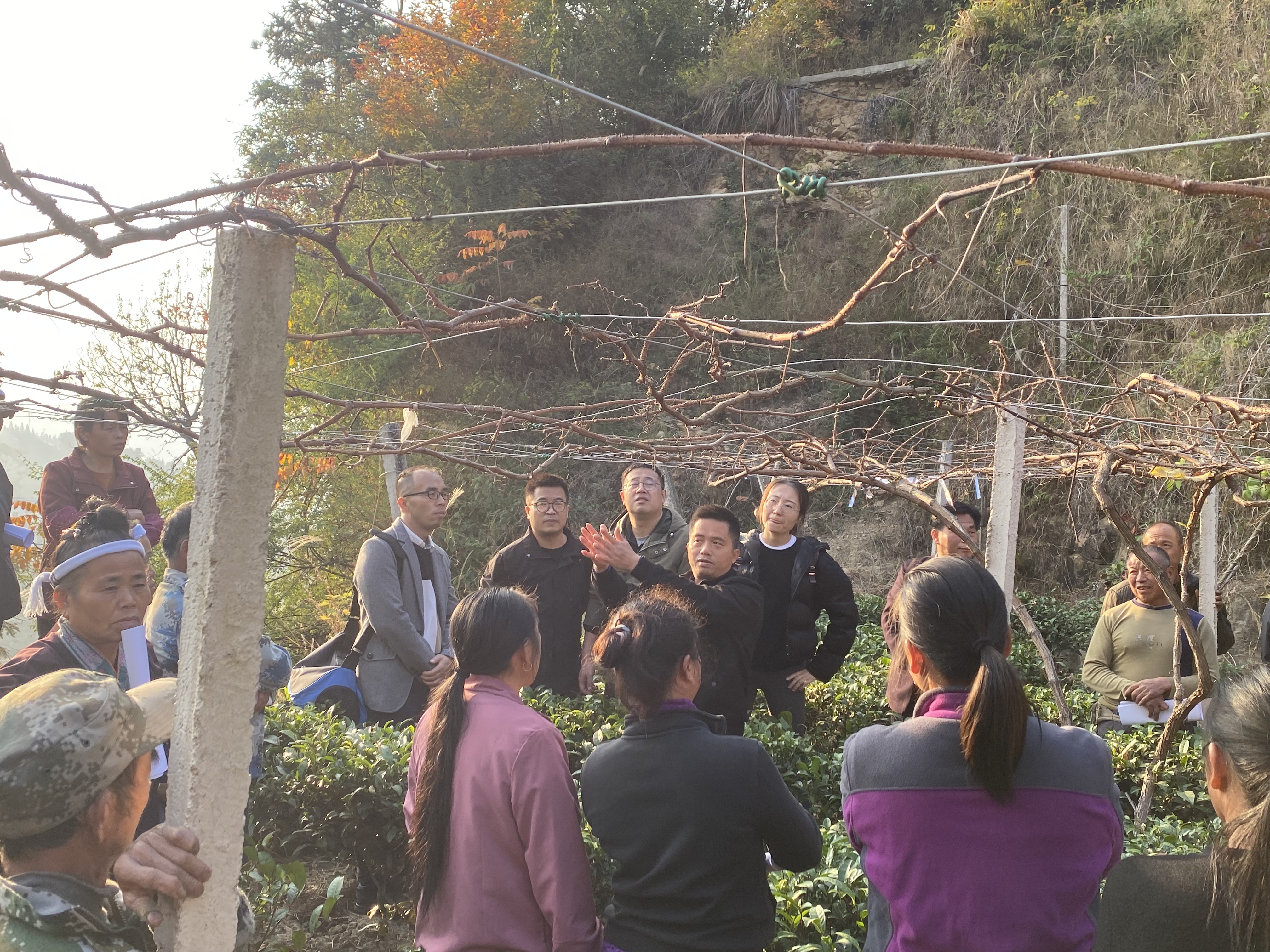 刺葡萄与葡萄酒产业化关键技术培训班在柳州市三江县成功举办