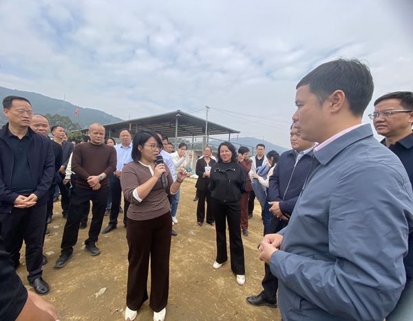 upfile a1421dc3110e5eda0d2a5dba3c185bfe_副本.jpg