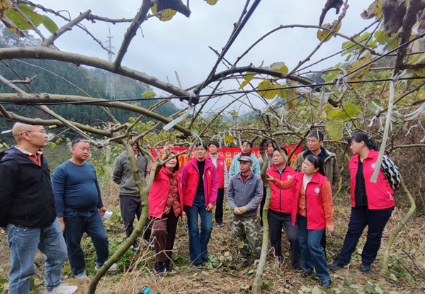 园艺所科技人员到乐业县开展“一县一团”组团科技服务