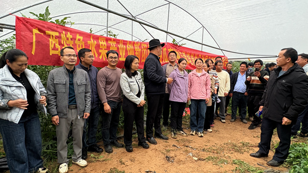 园艺所科技人员应邀参加西瓜新品种现场观摩培训会