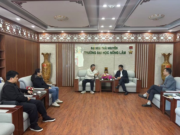 upfile 20251226越南01-600.jpg