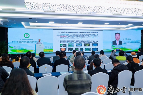 upfile 广西云1_副本.jpg