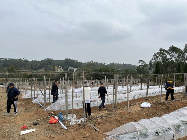 upfile 5465ffdf74600186ccf22f35e5a0d846_副本.jpg