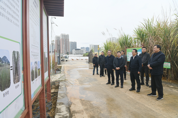 院安委会组织开展安全生产排查整治工作