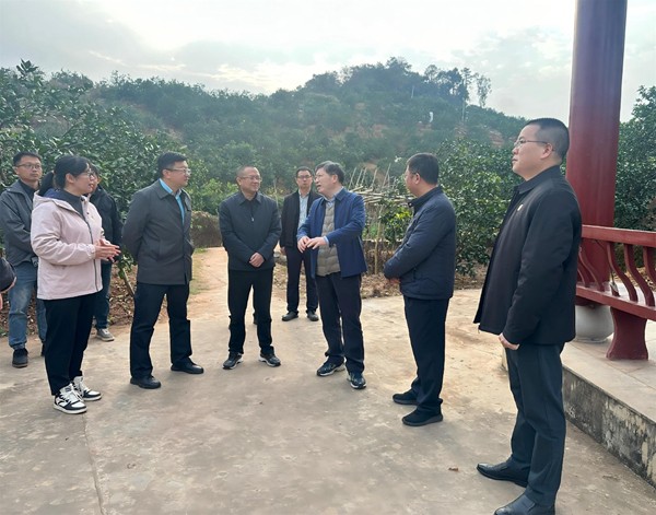 upfile bad1148a-caf3-46ff-9768-28ce356317ff.jpg