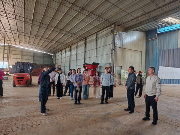 upfile 2026.3.13_副本.jpg