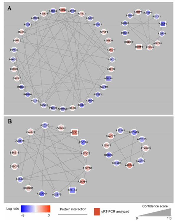2026.3.16 (2)_副本.png