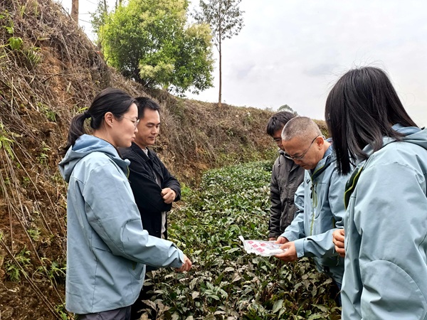 upfile 微信图片_20260316090602_79_42_副本.jpg