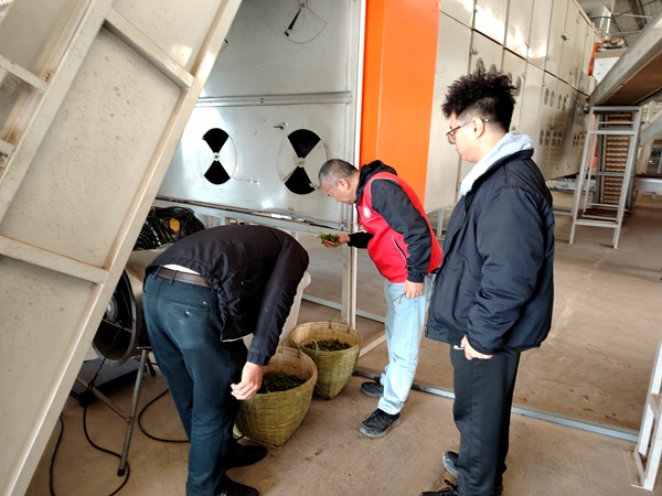 upfile 微信图片_20260316090606_80_42_副本.jpg