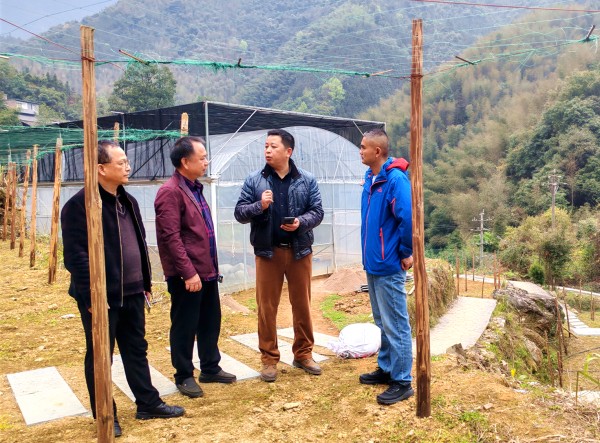 upfile 图片2_副本.jpg