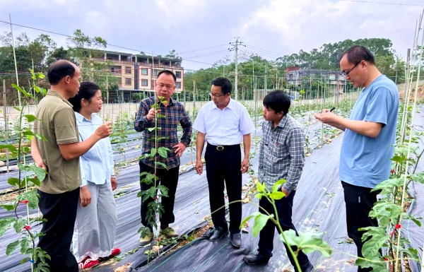 upfile 图片1_副本.jpg