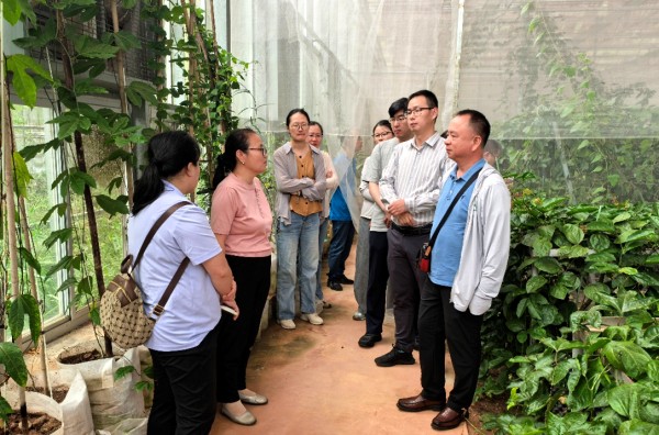 upfile 图片1_副本.jpg