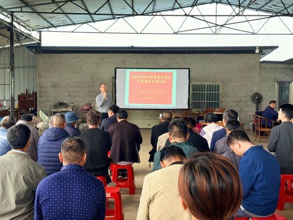 upfile 2026.3.27.jpg