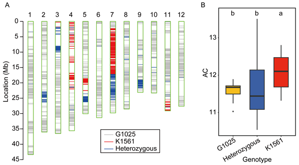 2026.4.3 (2)_副本.png
