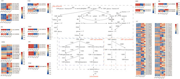 upfile 图片3_副本.jpg