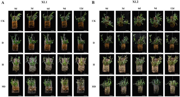 upfile 图片2_副本.jpg