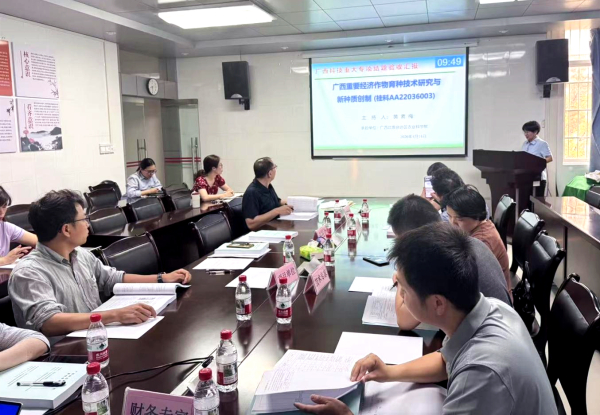 upfile 图片4_副本.jpg