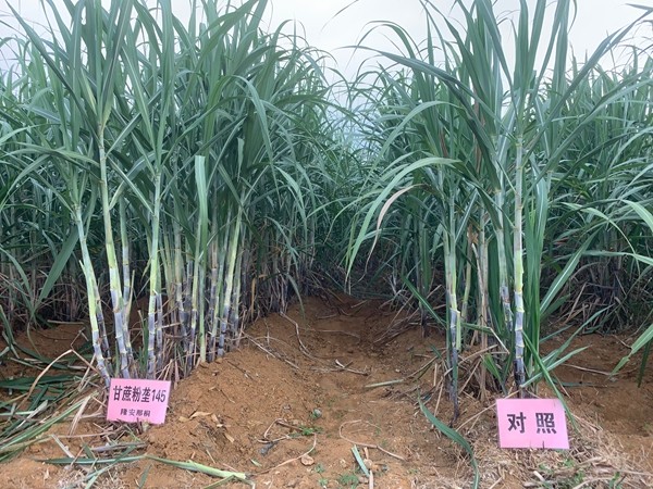 25.粉垄145技术.jpg