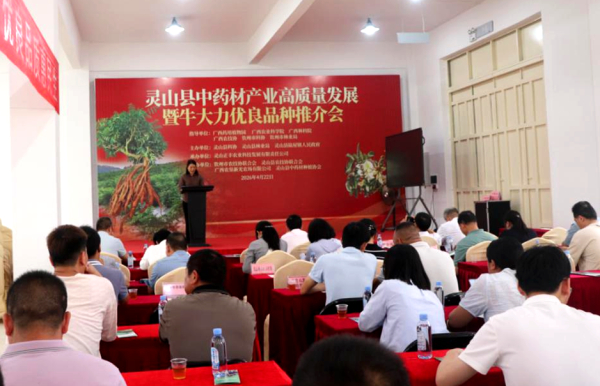 图片1_副本.jpg