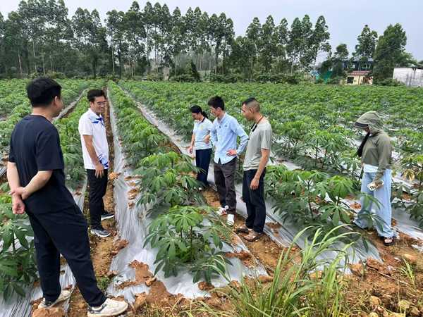 广西南亚所科技人员赴多地跟进“智果”行动计划项目_副本.png