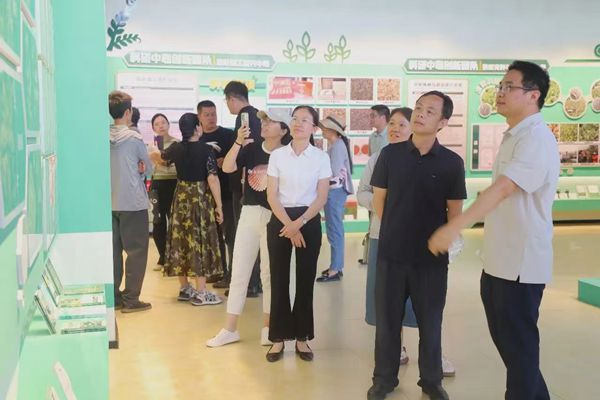 荔浦市_副本.jpg