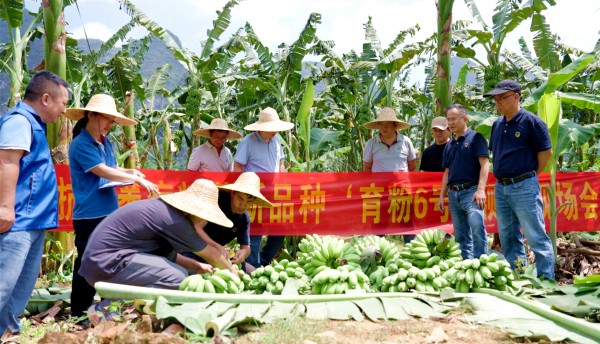 upfile 图片1_副本.jpg
