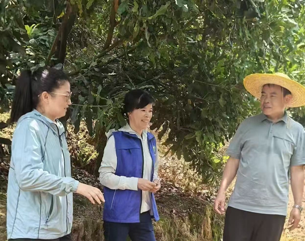 600_副本.jpg
