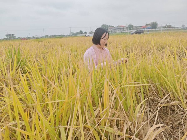 upfile 李孝琼在田间调查_副本.jpg