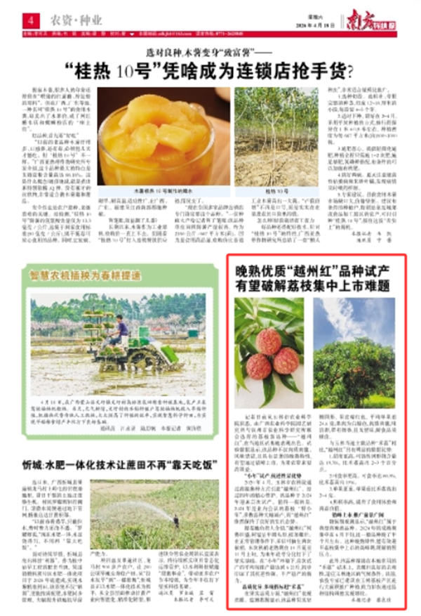 越州红.png
