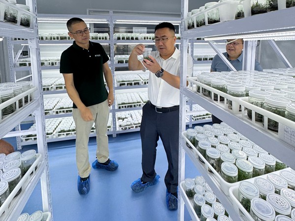 upfile 孙书记2_副本.jpg
