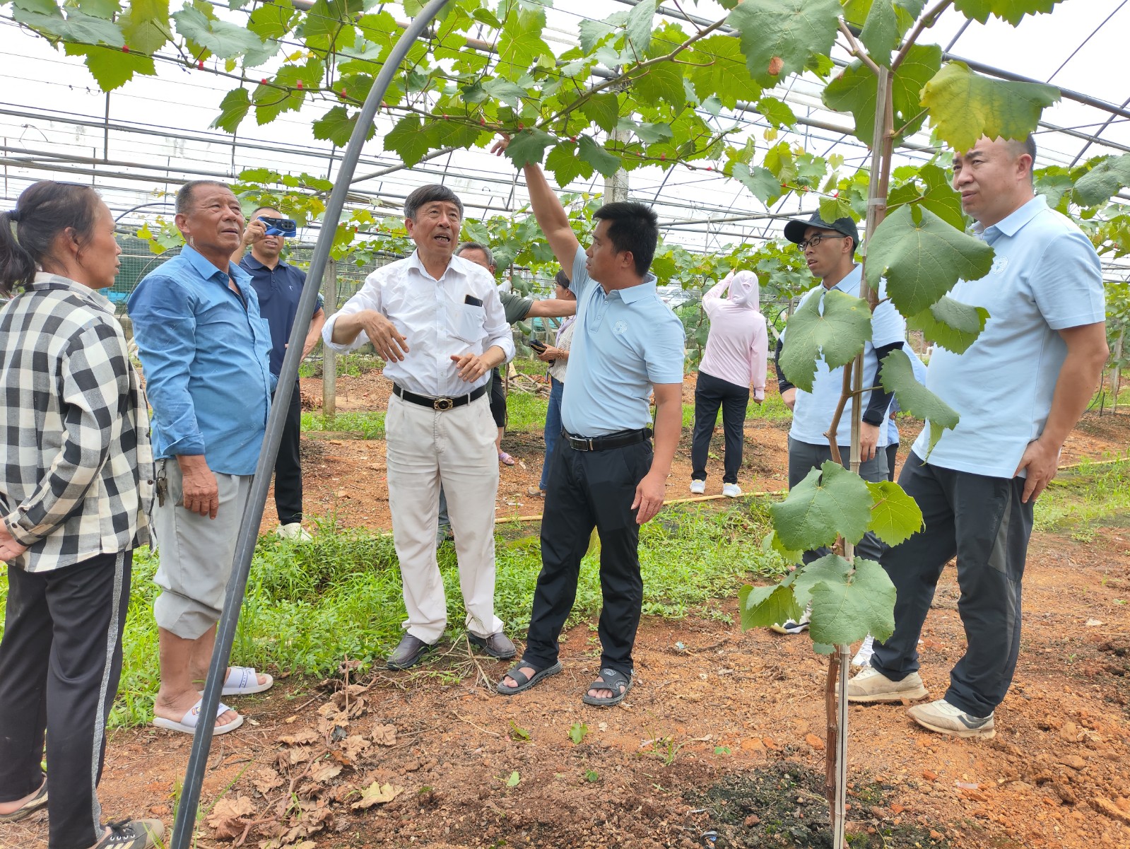 upfile upfile