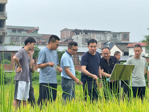 upfile 2026.7.8_副本.jpg