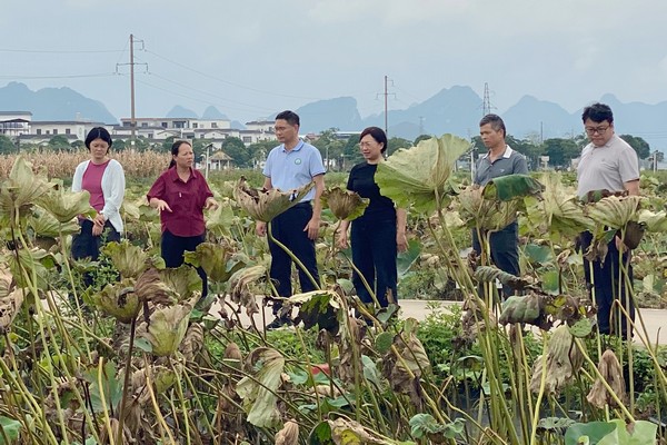 胡茂林挂网.jpg