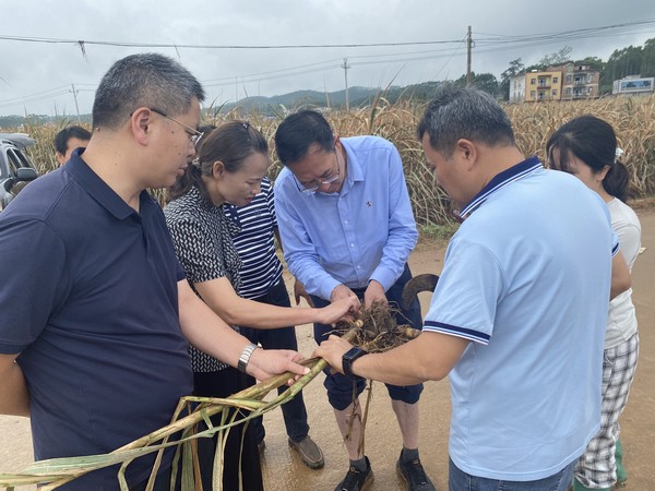 左明挂网.jpg