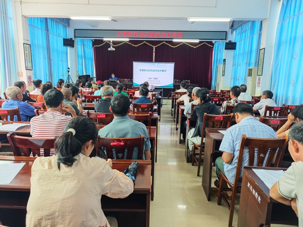 upfile 广西南亚所木薯研究团队受邀前往武鸣区灵马_副本.jpg