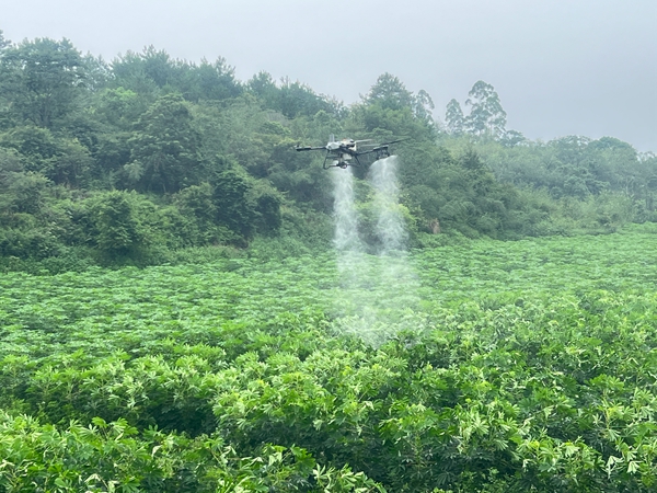 upfile 藤县木薯基地无人机飞防_副本.jpg