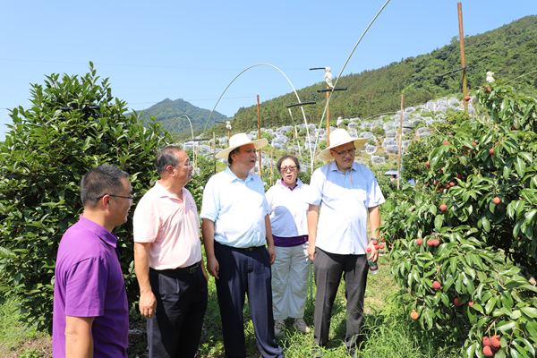 广西特晚熟产区荔枝种植示范现场观摩会在桂林召开