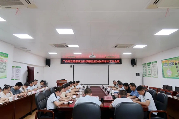 广西南亚所召开2026年年中工作总结会议