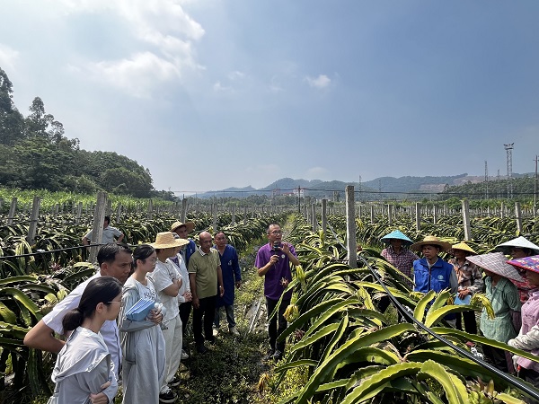 科技护航复产 | 园艺所科技人员赴玉林市兴业县指导灾后复产