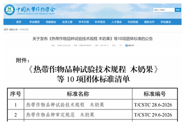 光影魔术手拼图_副本.jpg