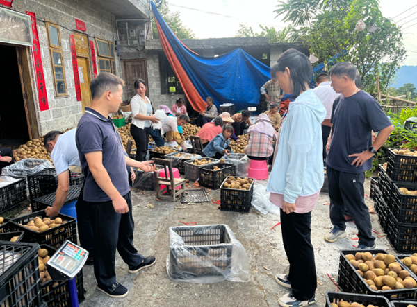 园艺所科技人员赴乐业县开展猕猴桃产业调研与技术服务