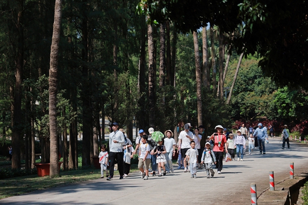 upfile 1_副本.jpg