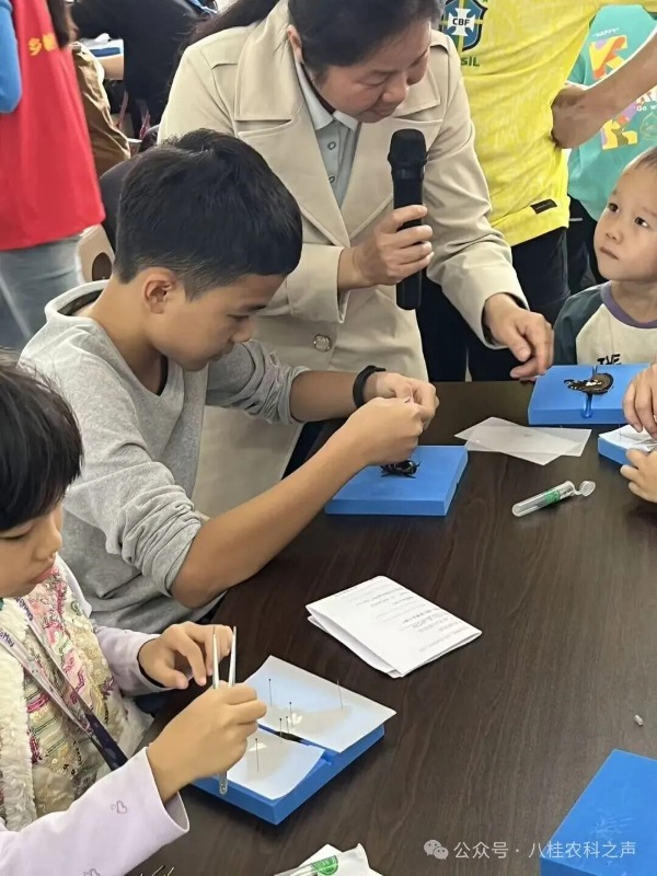 upfile IMG_202609221686_600x800.jpg