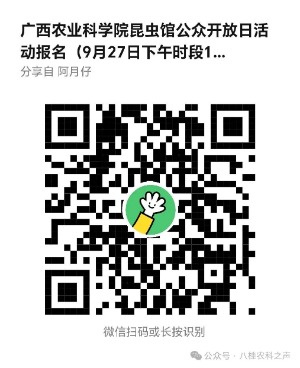 upfile IMG_202609221853_300x368.jpg
