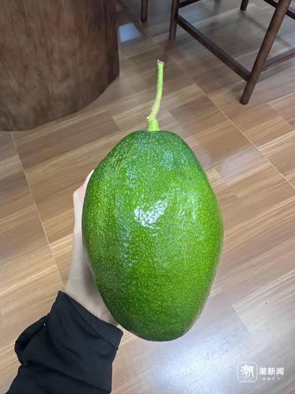 微信图片_20261013162243_158_26.jpg