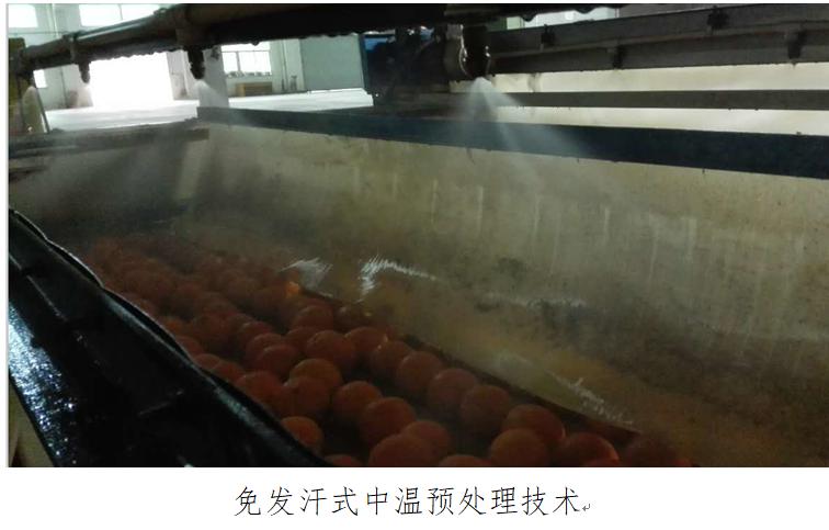 中国农业农村十大重大新技术——脐橙采后免发汗式商品化处理及贮藏保鲜技术